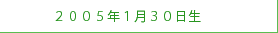 ２００５年１月３０日