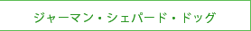 ジャーマン・シェパード・ドッグ