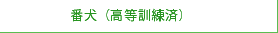 番犬（高等訓練済）