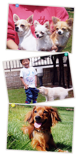 adressImages