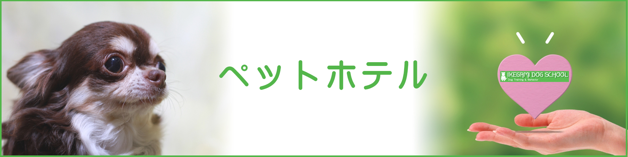 イケガミドッグスクール