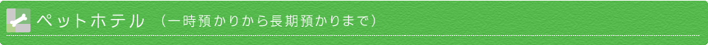 イケガミドッグスクール