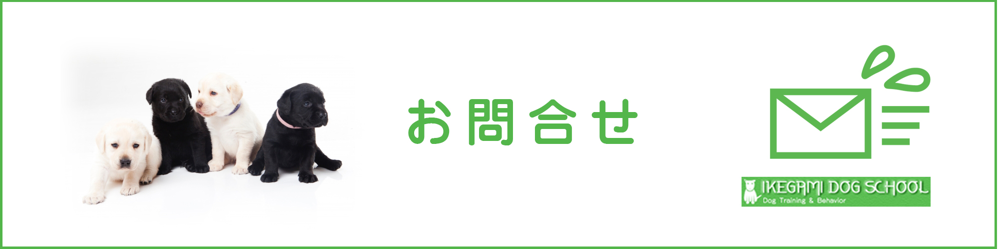 愛知県東郷町イケガミドッグスクール|お問合せフォーム｜recruit