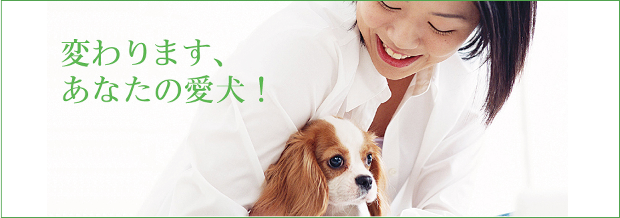 イケガミドッグスクール