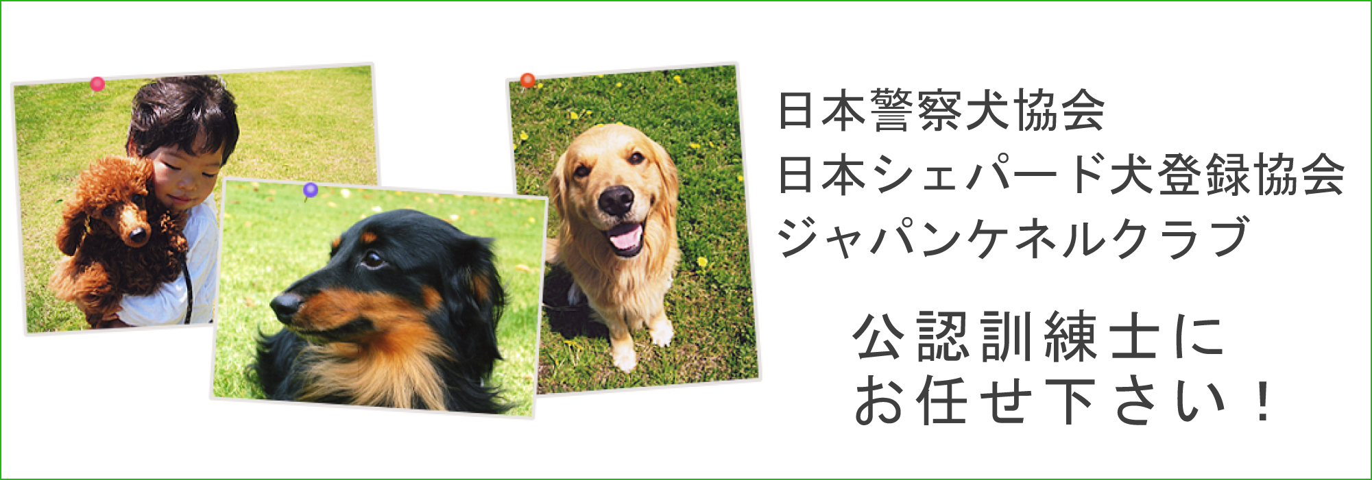 イケガミドッグスクール